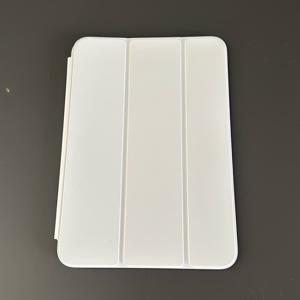 Apple iPad Mini 6 and 7 Apple Case